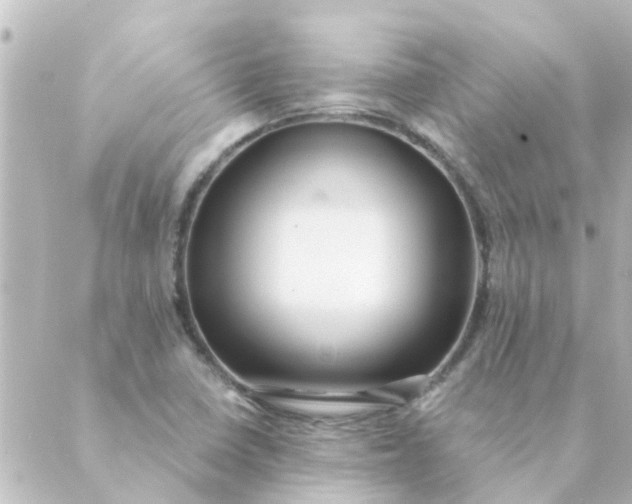 X0000088881410200706221803