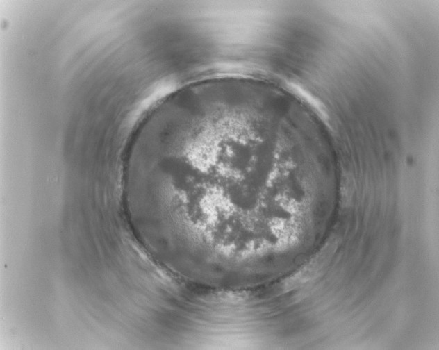 X0000088881411200706221803