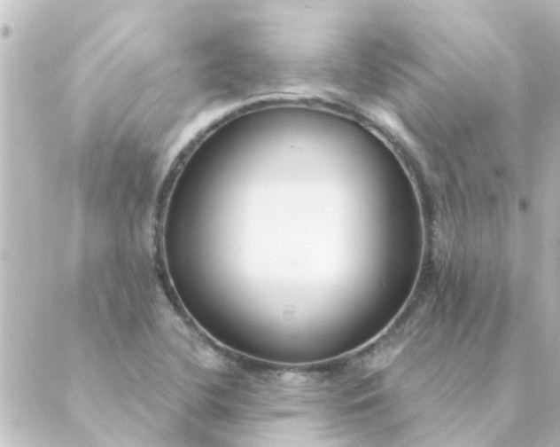 X0000088881412200706221803