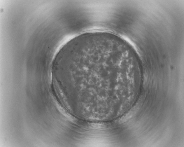 X0000088881413200706221803