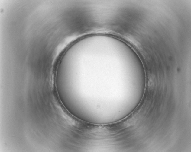 X0000088881414200706221803