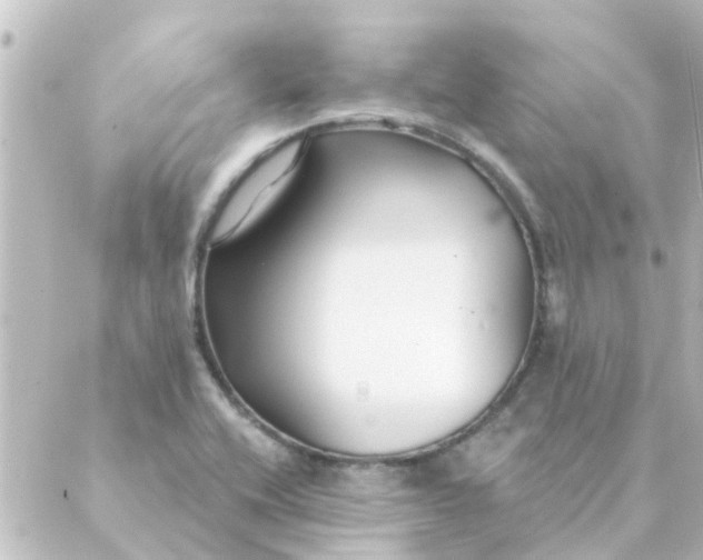 X0000088881416200706221803