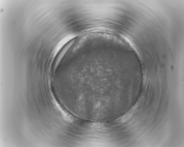 X0000088881418200706221803