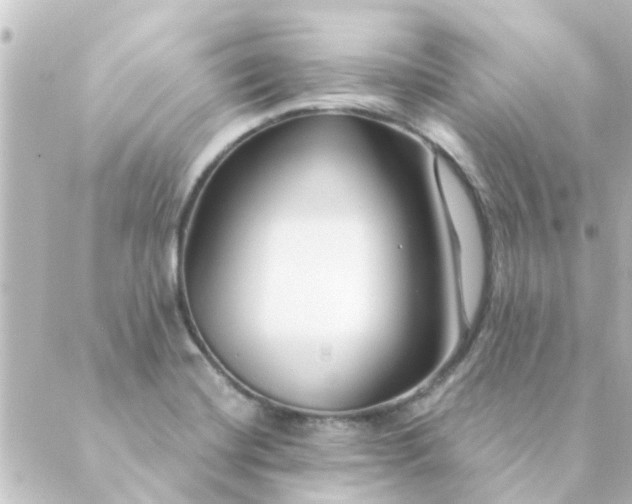 X0000088881420200706221803