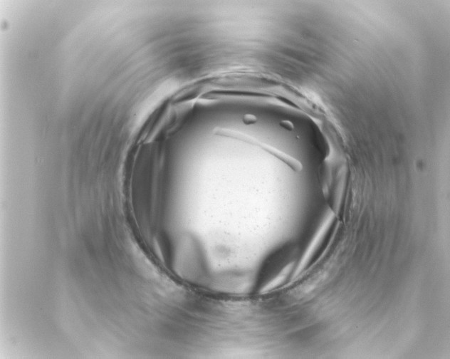 X0000088881422200706221803