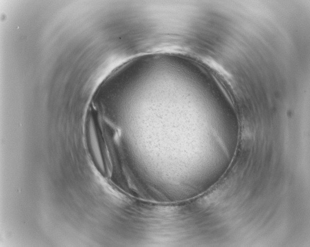 X0000088881423200706221803