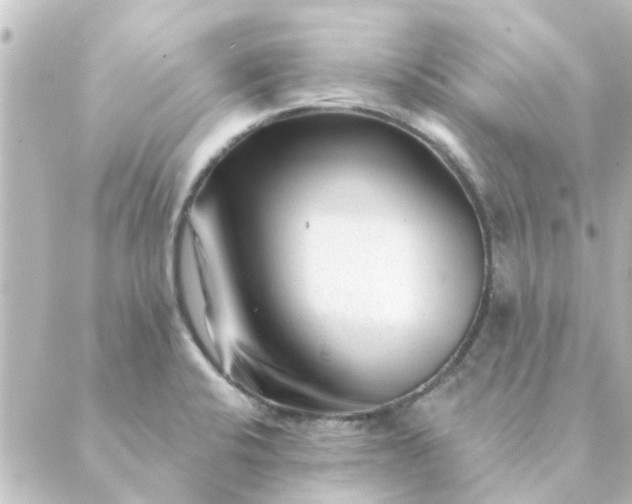 X0000088881424200706221803