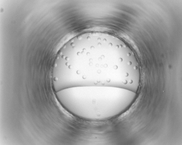 X0000088881425200706221803