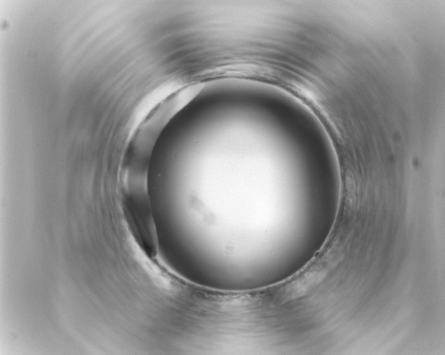 X0000088881426200706221803