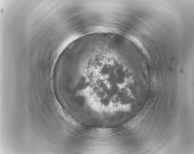 X0000088881427200706221803