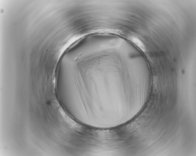 X0000088881428200706221803