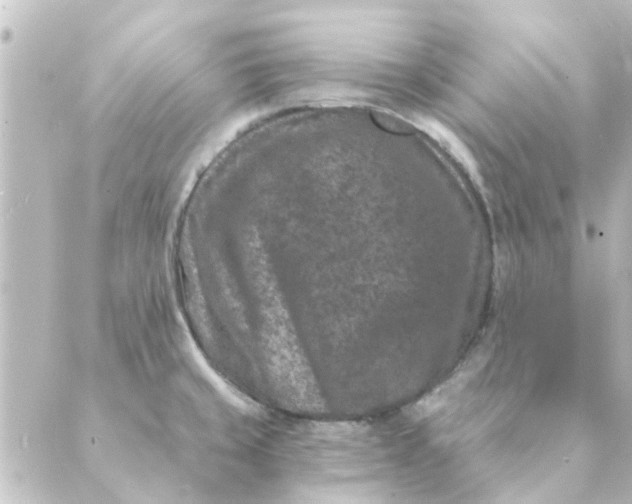 X0000088881429200706221803