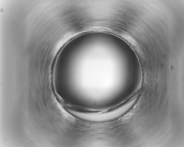 X0000088881430200706221803