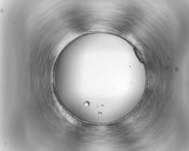 X0000088881431200706221803