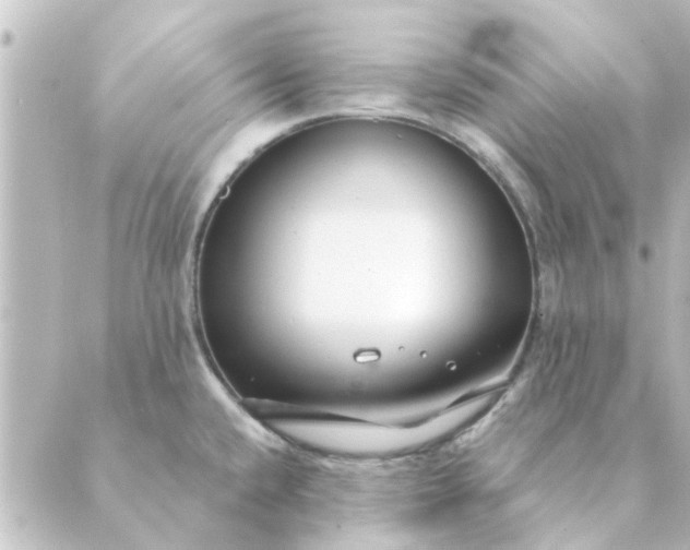 X0000088881432200706221803