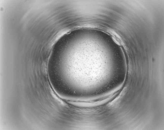 X0000088881433200706221803