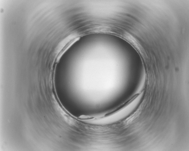 X0000088881434200706221803