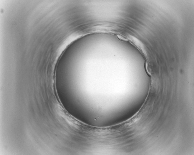 X0000088881435200706221803