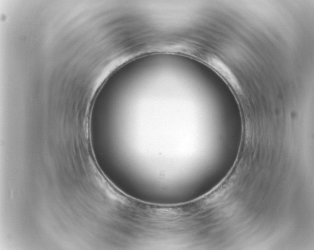 X0000088881436200706221803