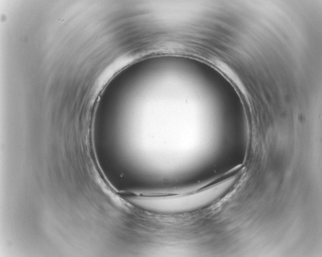 X0000088881437200706221803