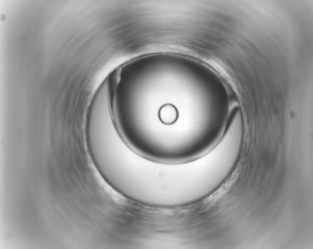 X0000088881438200706221803