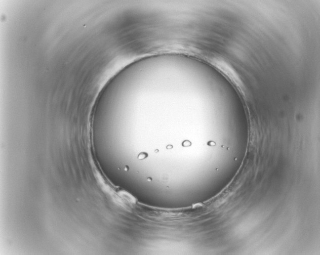 X0000088881439200706221803