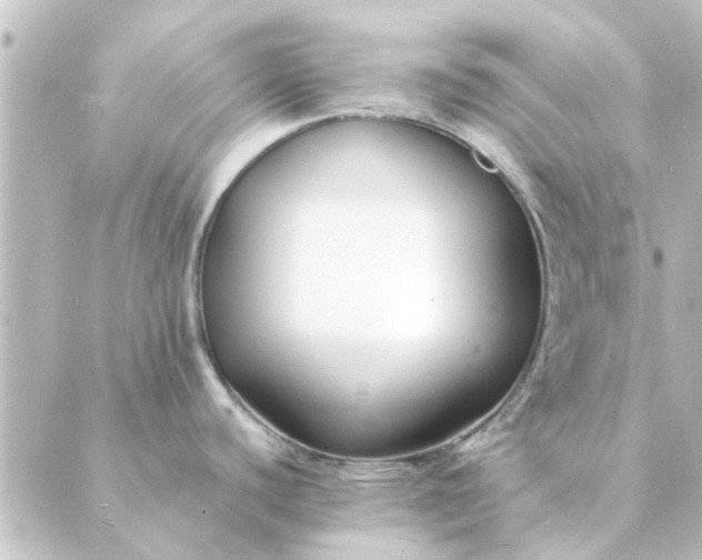 X0000088881440200706221803