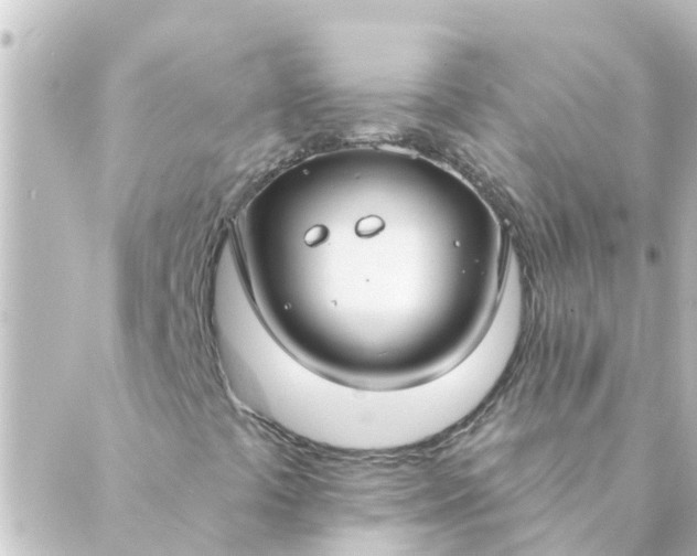 X0000088881441200706221803