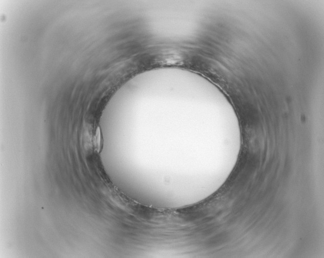 X0000088881442200706221803