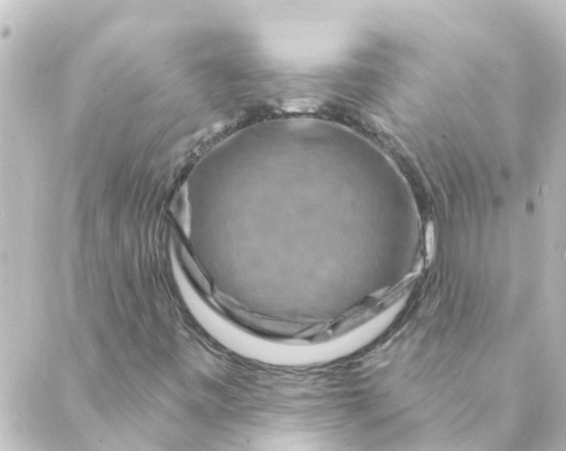 X0000088881443200706221803