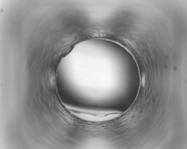 X0000088881444200706221803