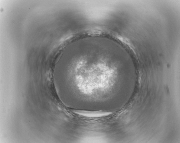 X0000088881445200706221803