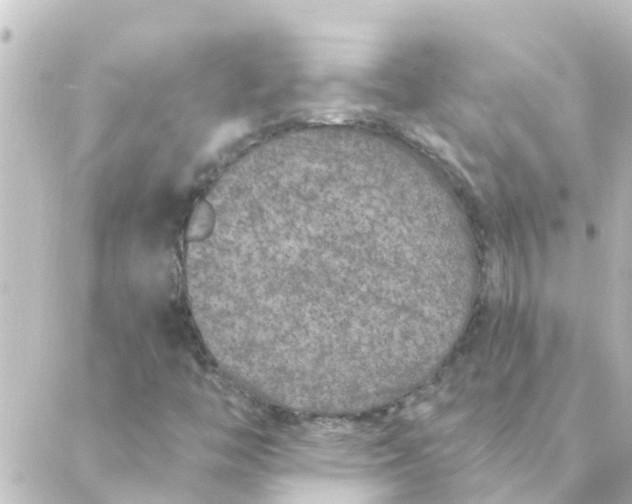 X0000088881446200706221803