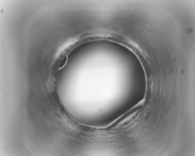 X0000088881448200706221803