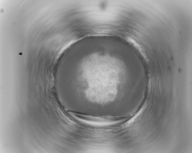 X0000088881449200706221803