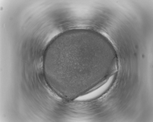 X0000088881450200706221803