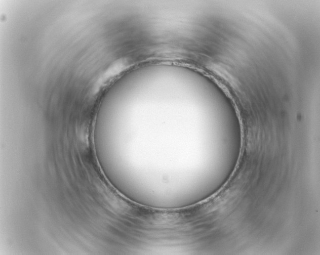 X0000088881451200706221803