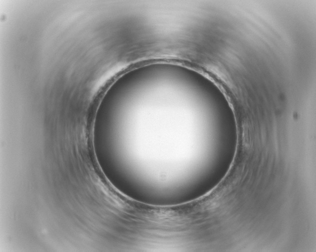 X0000088881452200706221803