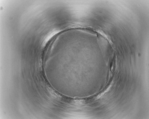 X0000088881453200706221803