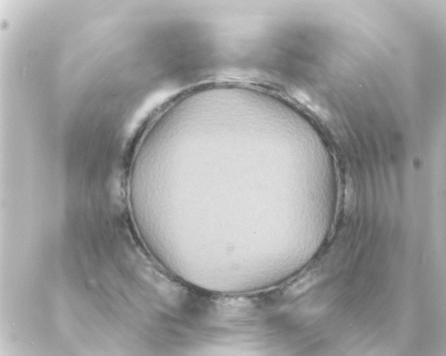 X0000088881454200706221802