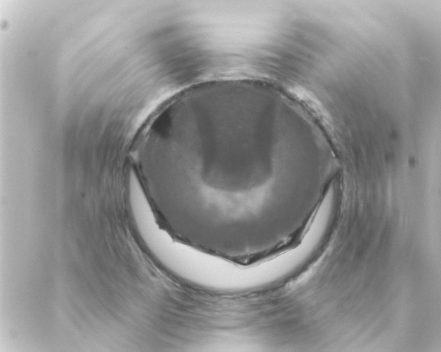 X0000088881457200706221802