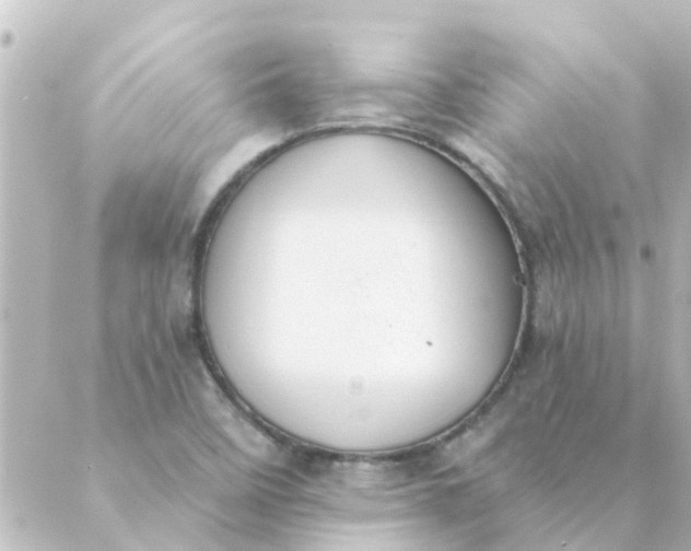 X0000088881458200706221802