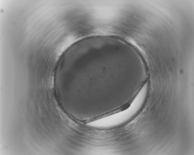 X0000088881459200706221802