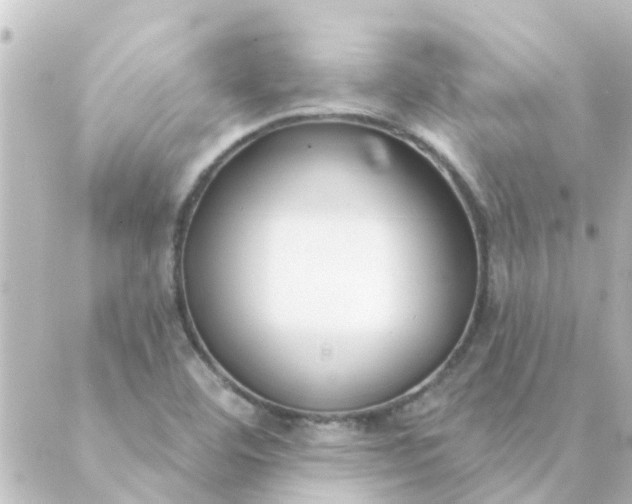 X0000088881460200706221802