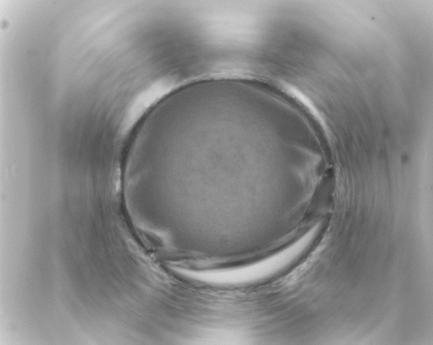 X0000088881461200706221802