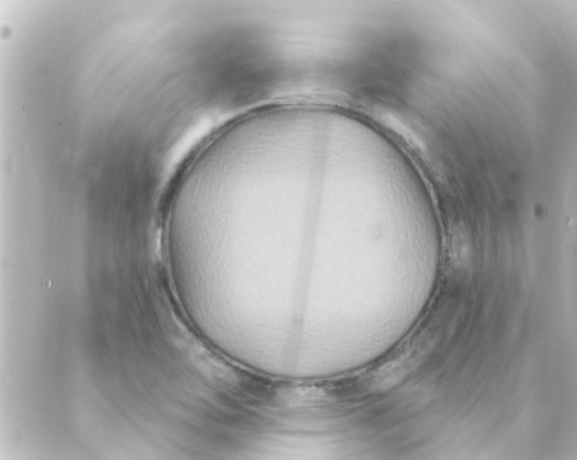 X0000088881462200706221802