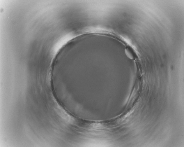 X0000088881463200706221802