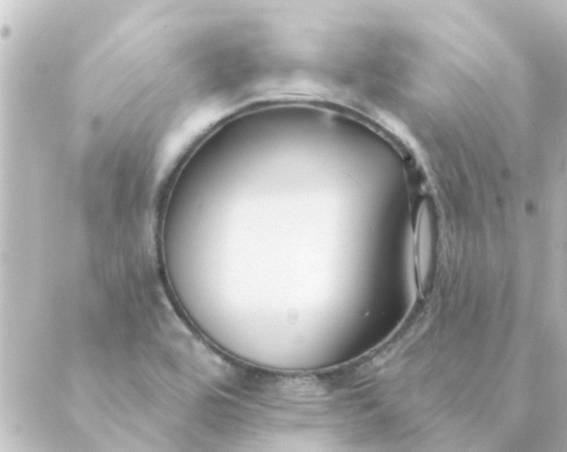 X0000088881464200706221802