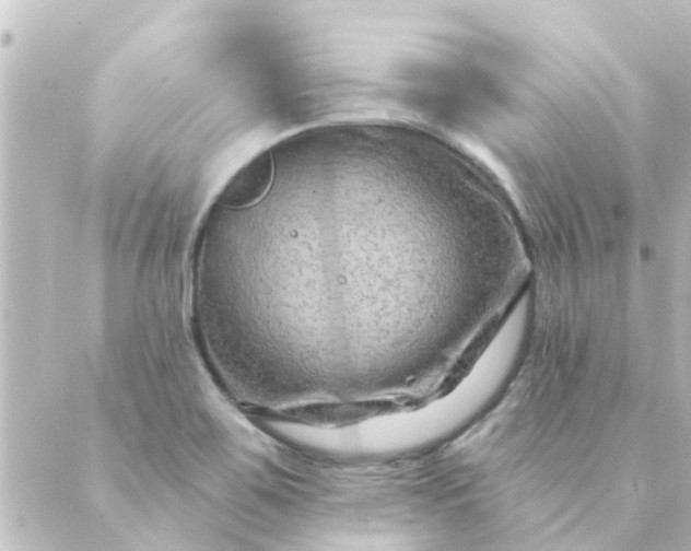 X0000088881467200706221802