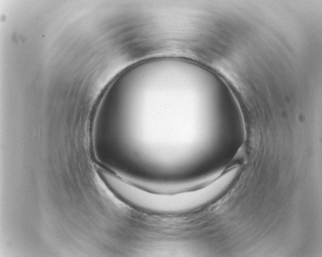 X0000088881468200706221802